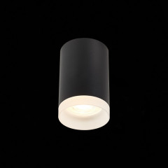 Накладной светильник ST-Luce ST100.402.01