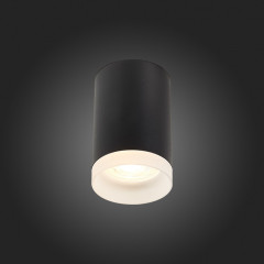 Накладной светильник ST-Luce ST100.402.01