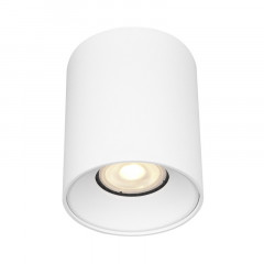 Накладной светильник ST-Luce ST167.502.01