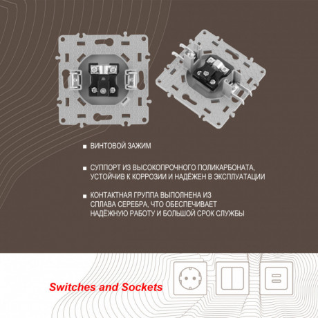Розетка Arte Milano 217.43-1.silver