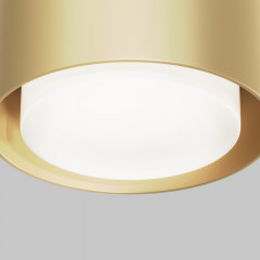 Накладной светильник Maytoni Technical C092CL-GX53-MG