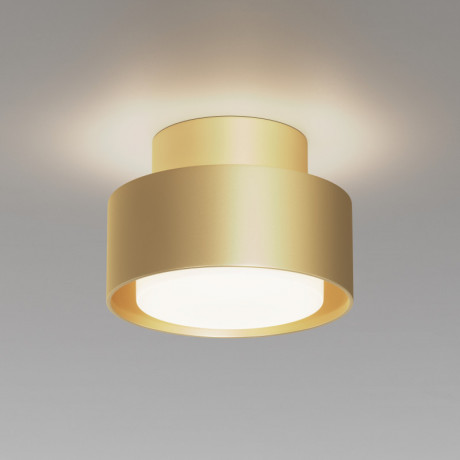 Накладной светильник Maytoni Technical C092CL-GX53-MG