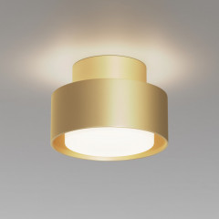 Накладной светильник Maytoni Technical C092CL-GX53-MG