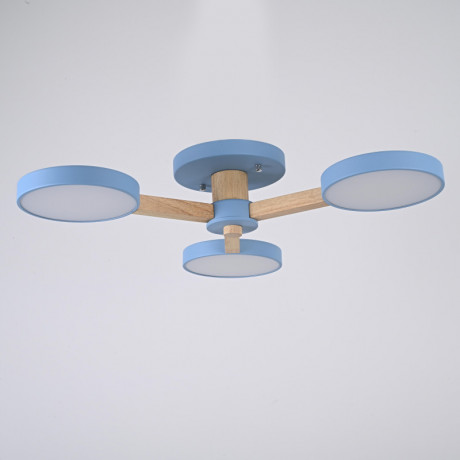 Накладная люстра ImperiumLoft 178334-26