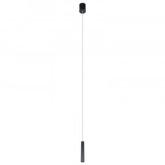 Подвесной светильник LOFT IT 10334/300 Black