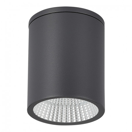 Накладной уличный светильник ST-Luce SL9514.712.01