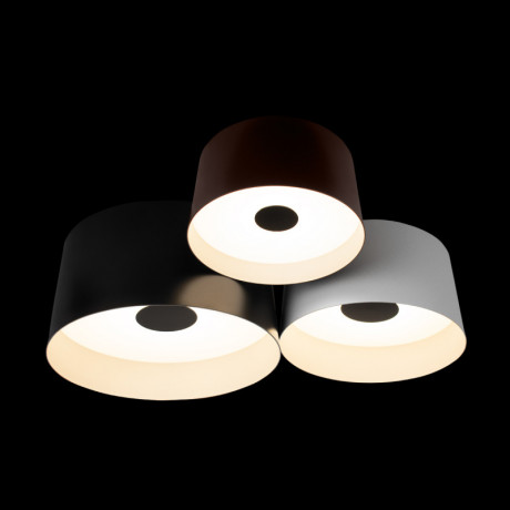 Накладной светильник LOFT IT 10360/3