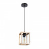 Подвесная люстра ARTE Lamp A7025SP-1BK