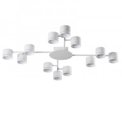 Накладная люстра LUMION 8235/12C