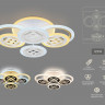 Накладной светильник Ambrella Light FA2951