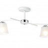 Накладной светильник Ambrella Light TR303201