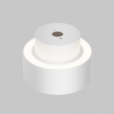 Накладной светильник Maytoni Technical C092CL-GX53-W