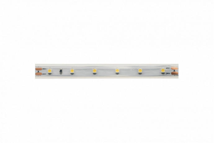 Лента DesignLed DSG360-24-W-65