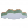 Потолочный детский светильник LOFT IT 10005/30 Green