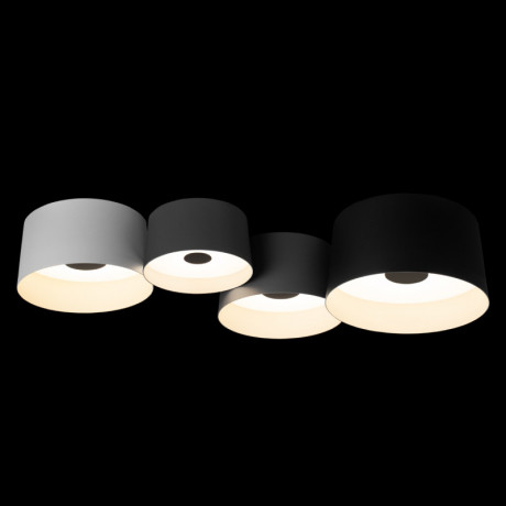 Накладной светильник LOFT IT 10360/4