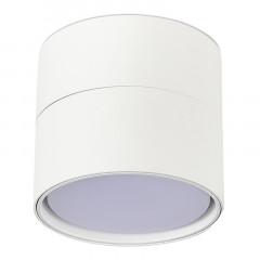 Накладной светильник ST-Luce ST651.502.01