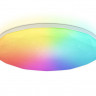 Накладной светильник Ambrella Light FZ418