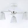 Накладной светильник Ambrella Light TR303202