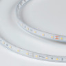 Лента DesignLed DSG360-24-NW-65
