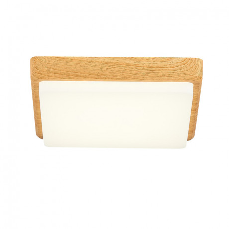 Накладной светильник Evoluce SLE200202-01