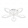 Накладная люстра Escada 10287/5LED