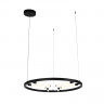 Подвесная люстра ST-Luce SL393.403.06