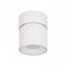 Накладной светильник LOFT IT 10180 White 4000K