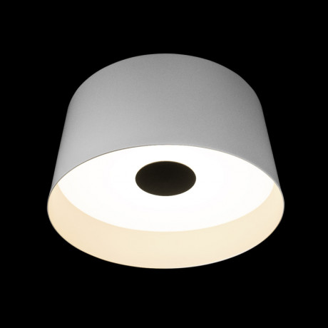 Накладной светильник LOFT IT 10360L White