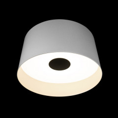 Накладной светильник LOFT IT 10360L White