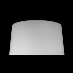 Накладной светильник LOFT IT 10360L White