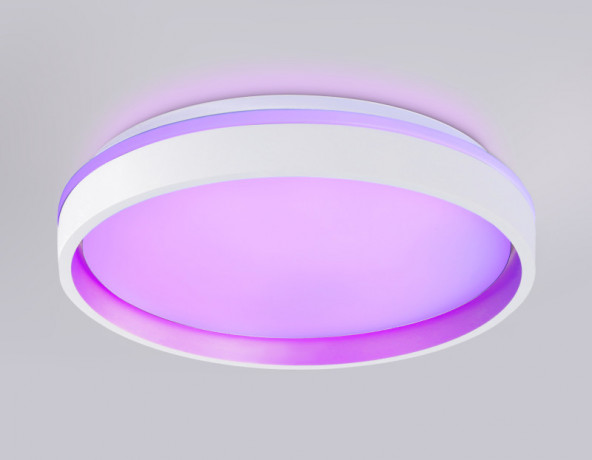 Накладной светильник Ambrella Light FZ601