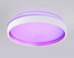 Накладной светильник Ambrella Light FZ601