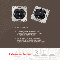 Розетка Arte Milano 203.41-1.shampan