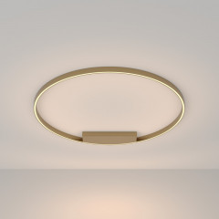 Накладной светильник Maytoni MOD058CL-L65BS3K