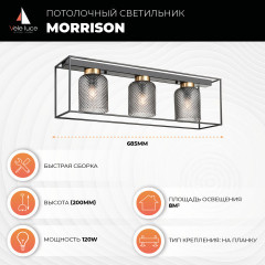 Накладной светильник Vele Luce VL5472L03