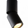 Накладной светильник Divinare 1800/04 PL-1