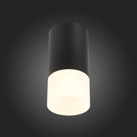 Накладной светильник ST-Luce ST100.412.01