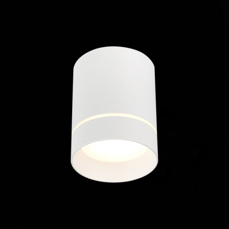 Накладной светильник ST-Luce ST115.532.12