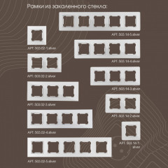 Розетка Arte Milano 203.41-1.silver