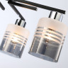 Накладная люстра Ambrella Light TR303212