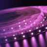 Лента DesignLed DSG3A60-24-RGB-33
