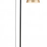 Торшер Vele Luce VL5704F01