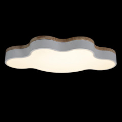 Потолочный детский светильник LOFT IT 10005/36 White