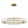 Подвесная люстра ST-Luce SL1622.383.01