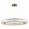 Подвесная люстра ST-Luce SL1622.383.01