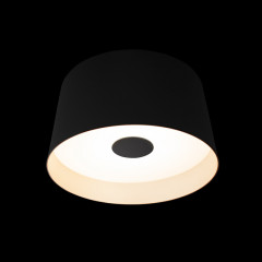 Накладной светильник LOFT IT 10360S Black