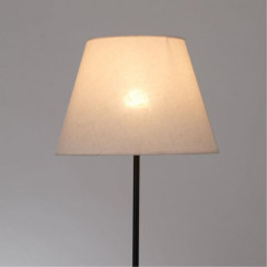 Торшер ARTE Lamp A5068PN-1BK