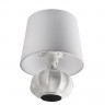 Настольная лампа LUMION 8145/1T