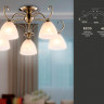 Люстра на штанге Ambrella Light TR3046