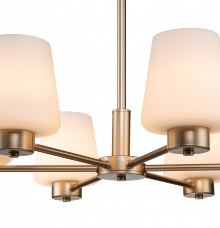 Подвесная люстра Indigo V000001